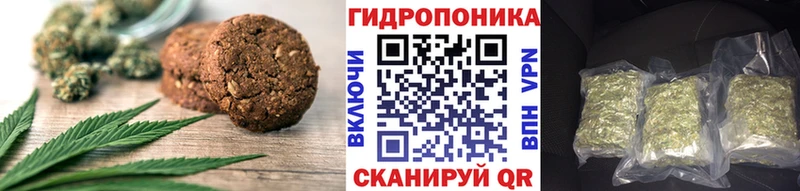 Купить  Ачинск  Canna-Cookies конопля 
